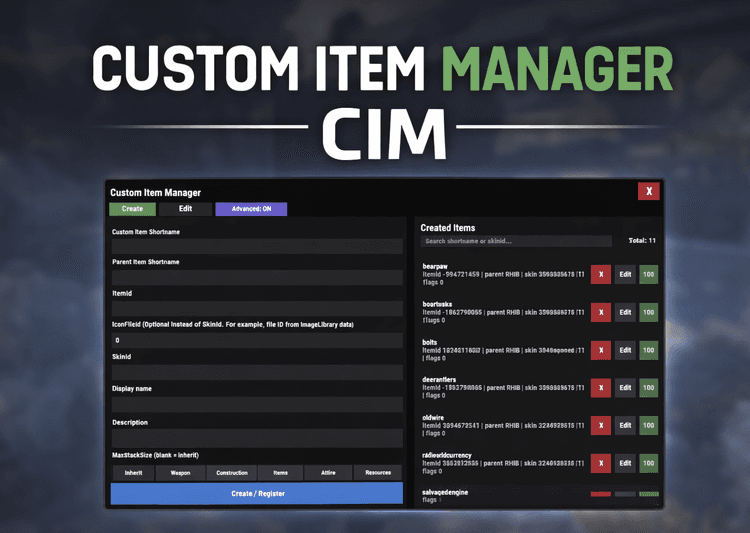 Custom Item Manager